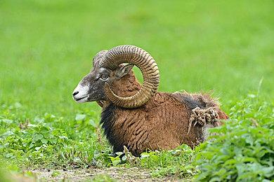 《完美的一天》亮相北京核聚变！实景还原游戏场景并带来特别试玩