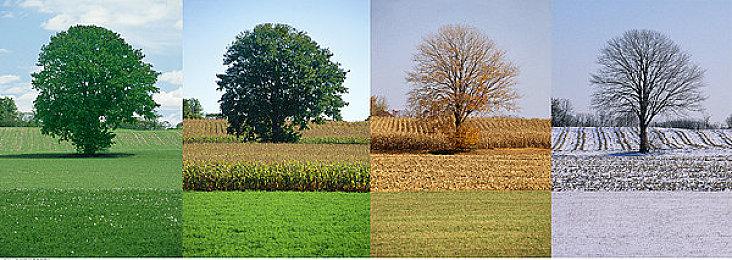 《仁王3》新战斗片段 “忍者风格”忍术系统介绍